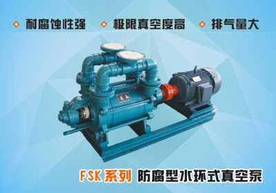 FSK系列防腐型水环式真空泵