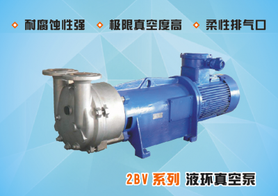 2BV系列防腐水环式真空泵